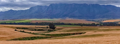 Farming Country